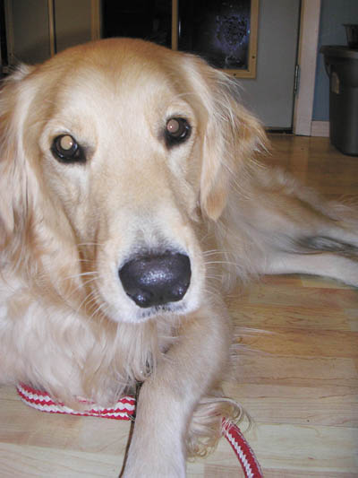 roscoe